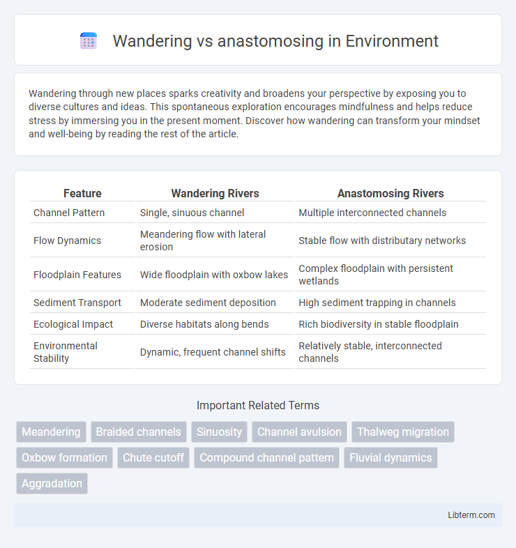 anastomosing vs Wandering in Environment - What is The Difference?
