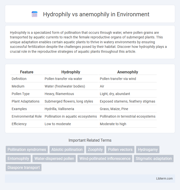 anemophily vs Hydrophily in Environment - What is The Difference?