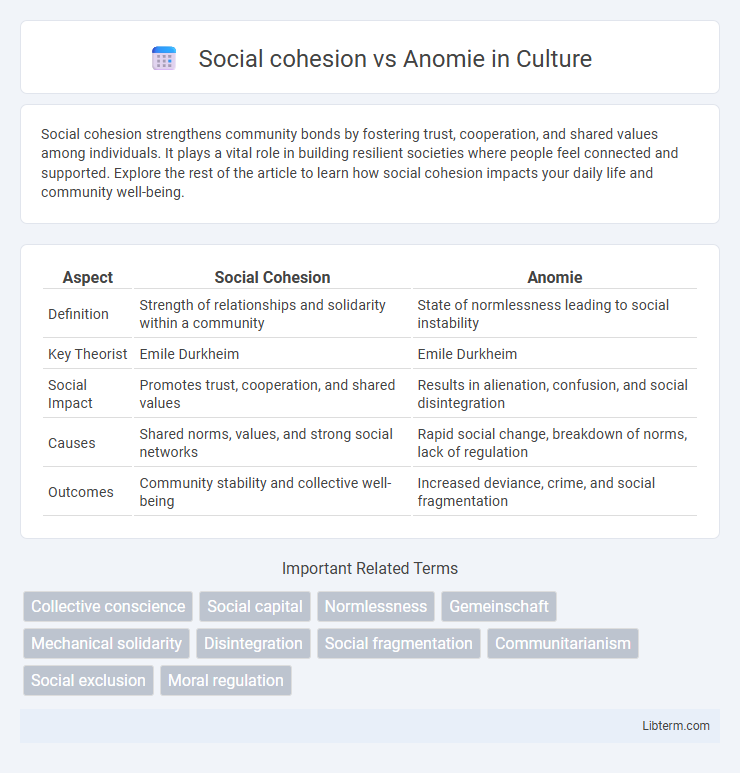Anomie vs Social cohesion in Culture - What is The Difference?