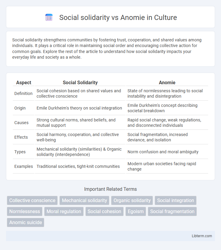 Anomie vs Social solidarity in Culture - What is The Difference?