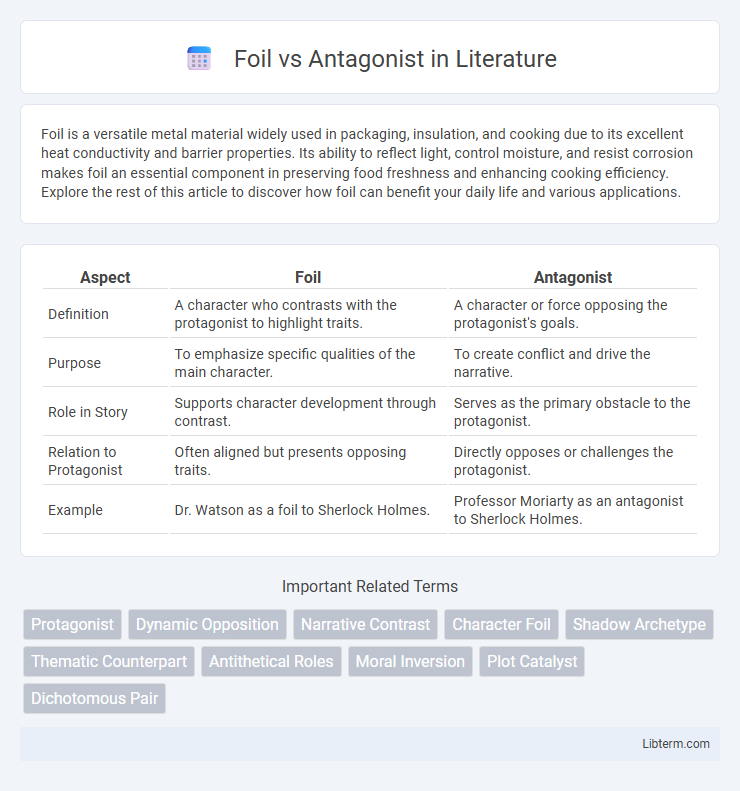 Antagonist vs Foil in Literature - What is The Difference?