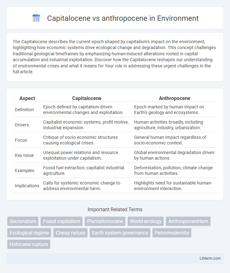 anthropocene vs Capitalocene in Environment - What is The Difference?