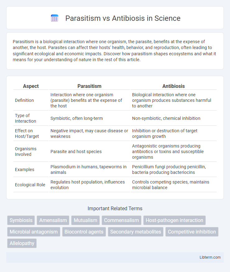 Antibiosis vs Parasitism in Science - What is The Difference?