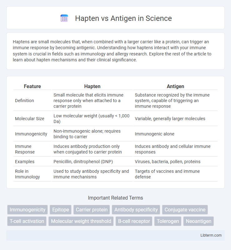Antigen vs Hapten in Science - What is The Difference?