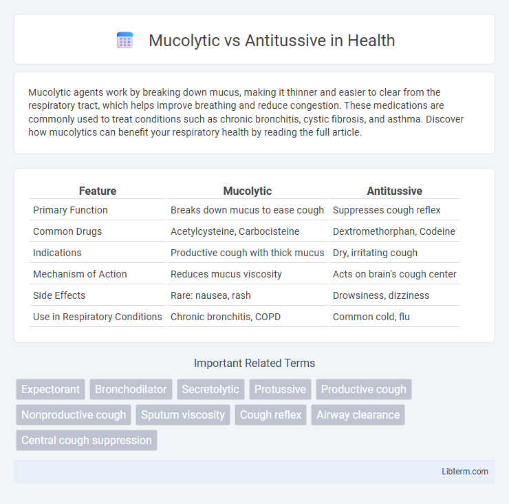 Antitussive vs Mucolytic in Health - What is The Difference?