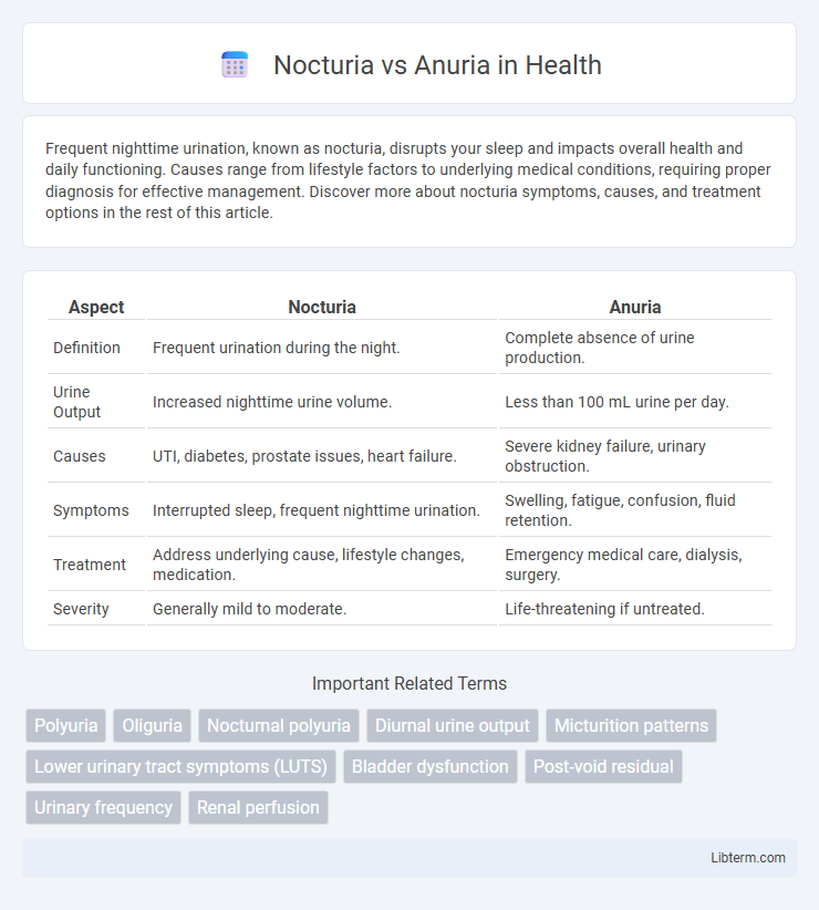 Anuria vs Nocturia in Health - What is The Difference?