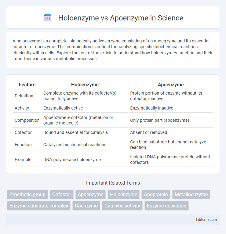 Apoenzyme vs Holoenzyme in Science - What is The Difference?