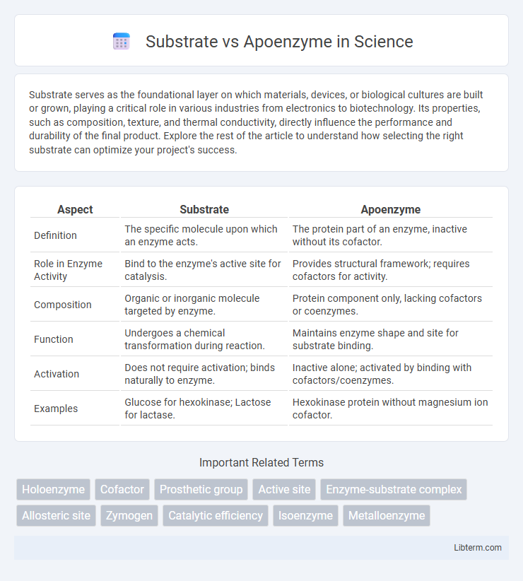 Apoenzyme vs Substrate in Science - What is The Difference?