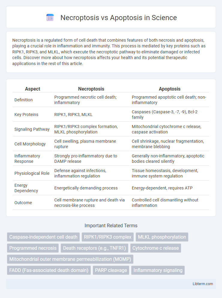 Apoptosis vs Necroptosis in Science - What is The Difference?
