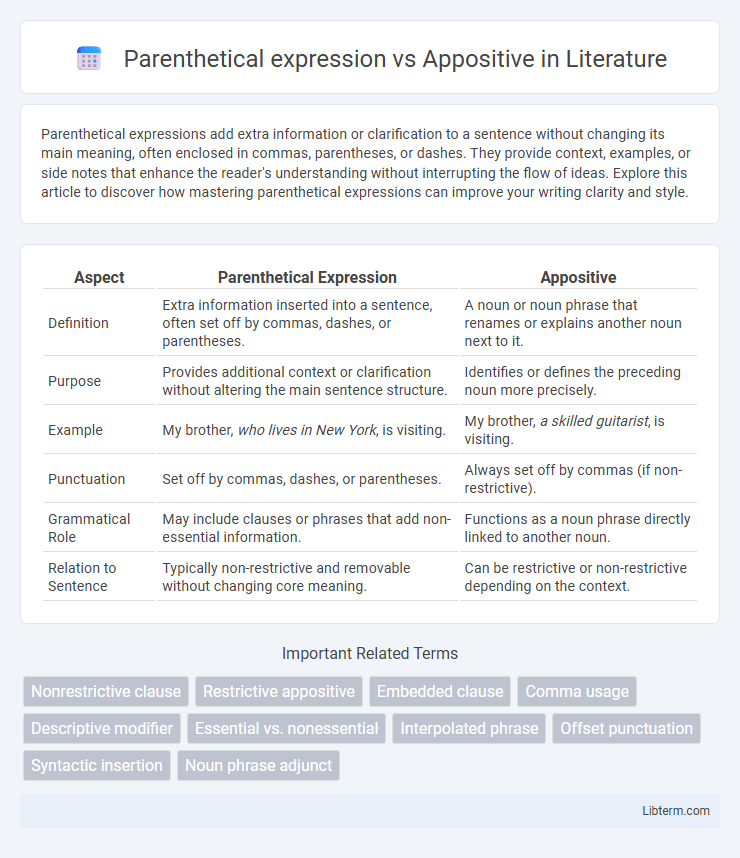 Appositive vs Parenthetical expression in Literature - What is The Difference?
