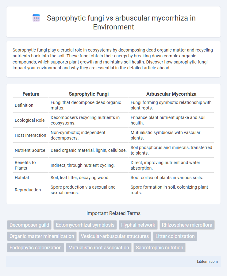 arbuscular mycorrhiza vs Saprophytic fungi in Environment - What is The Difference?