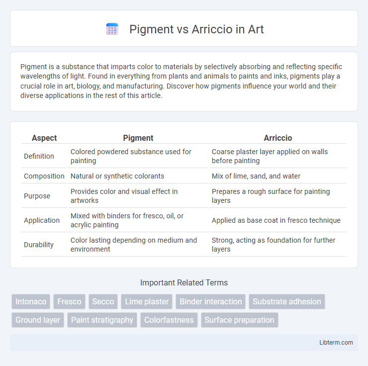 Arriccio vs Pigment in Art - What is The Difference?