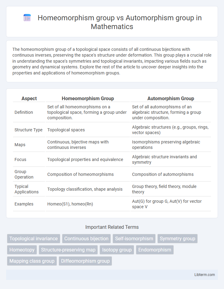 Automorphism group vs Homeomorphism group in Mathematics - What is The Difference?