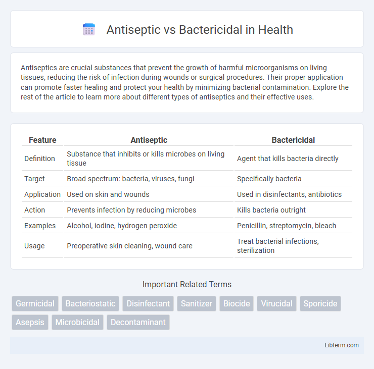 Bactericidal vs Antiseptic in Health - What is The Difference?