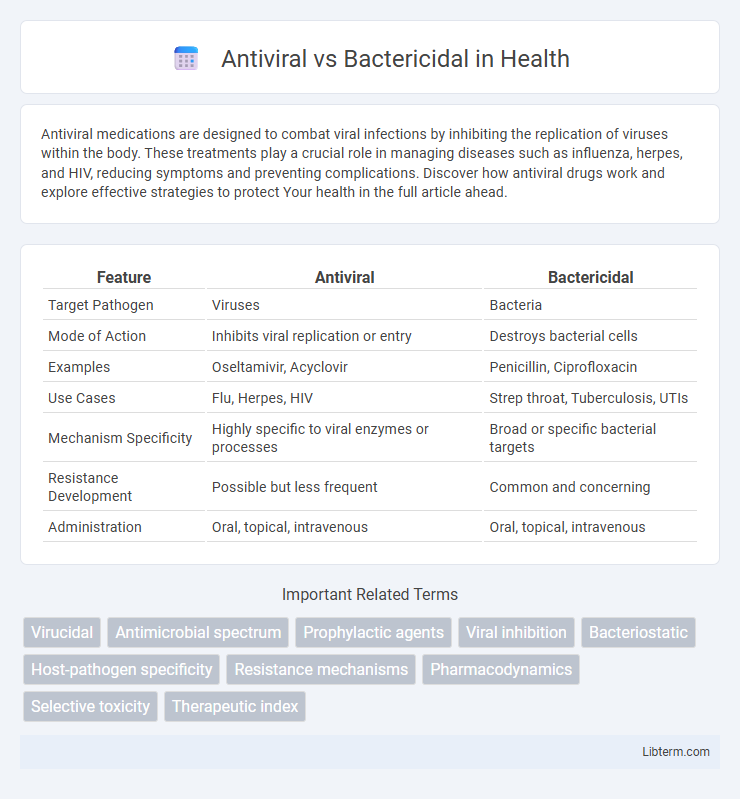 Bactericidal vs Antiviral in Health - What is The Difference?
