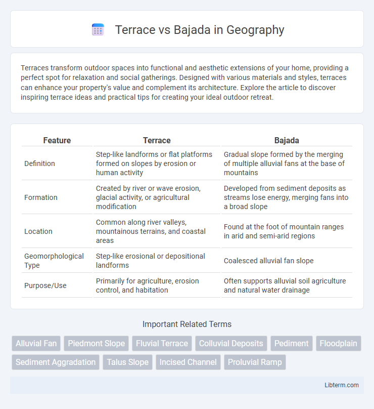 Bajada vs Terrace in Geography - What is The Difference?