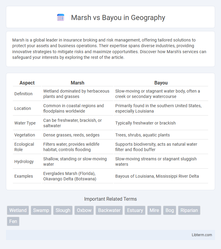 Bayou vs Marsh in Geography - What is The Difference?