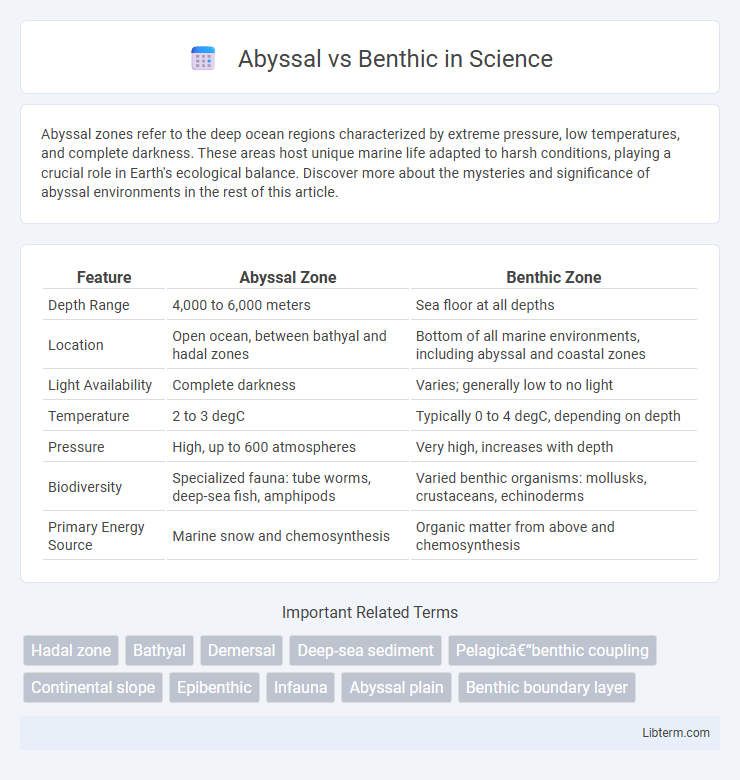 Benthic vs Abyssal in Science - What is The Difference?