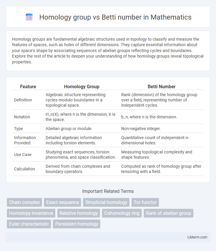 Betti number vs Homology group in Mathematics - What is The Difference?