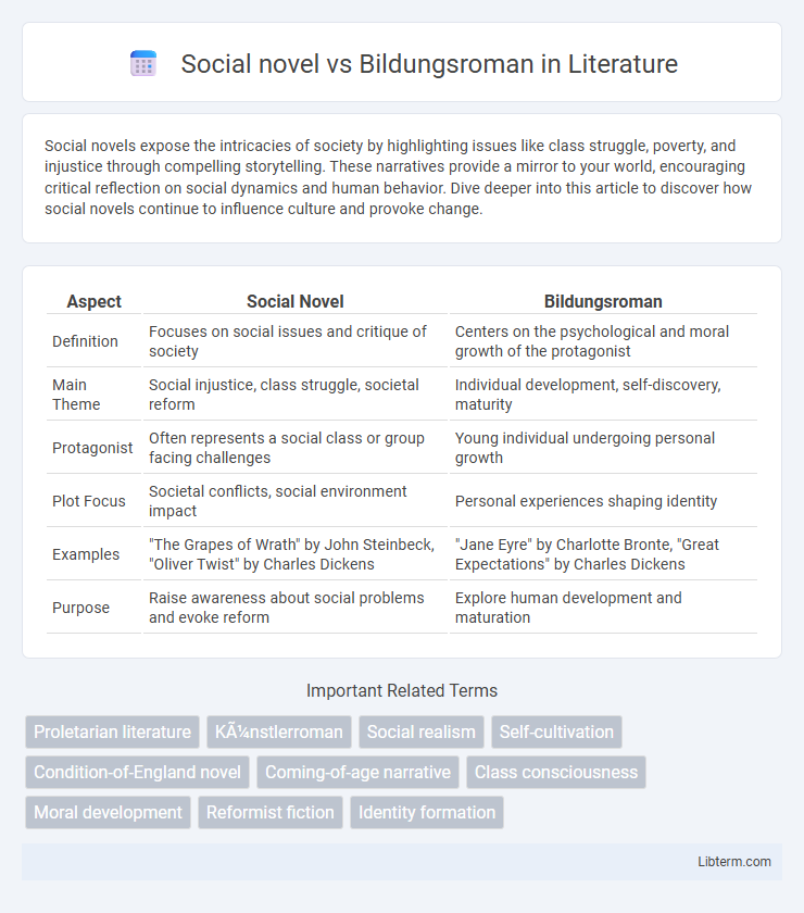 Bildungsroman vs Social novel in Literature - What is The Difference?