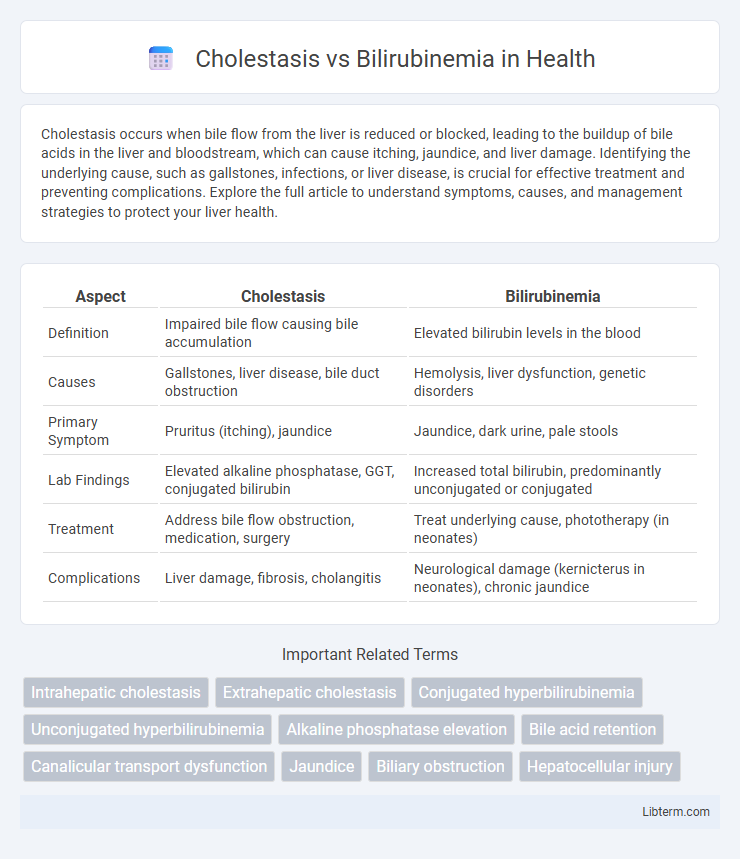 Bilirubinemia vs Cholestasis in Health - What is The Difference?