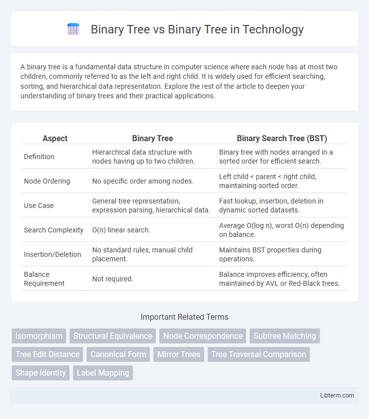 Binary Tree vs Binary Tree in Technology - What is The Difference?