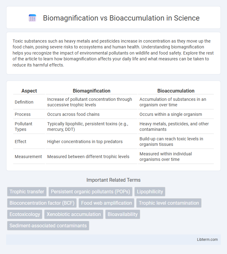 Bioaccumulation vs Biomagnification in Science - What is The Difference?