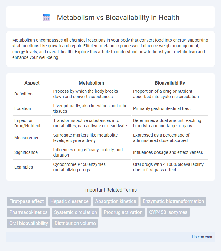 Bioavailability vs Metabolism in Health - What is The Difference?