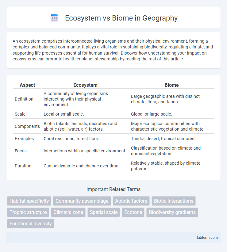 Biome vs Ecosystem in Geography - What is The Difference?