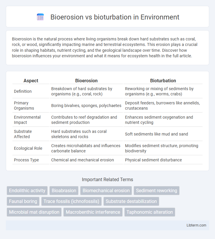 bioturbation vs Bioerosion in Environment - What is The Difference?
