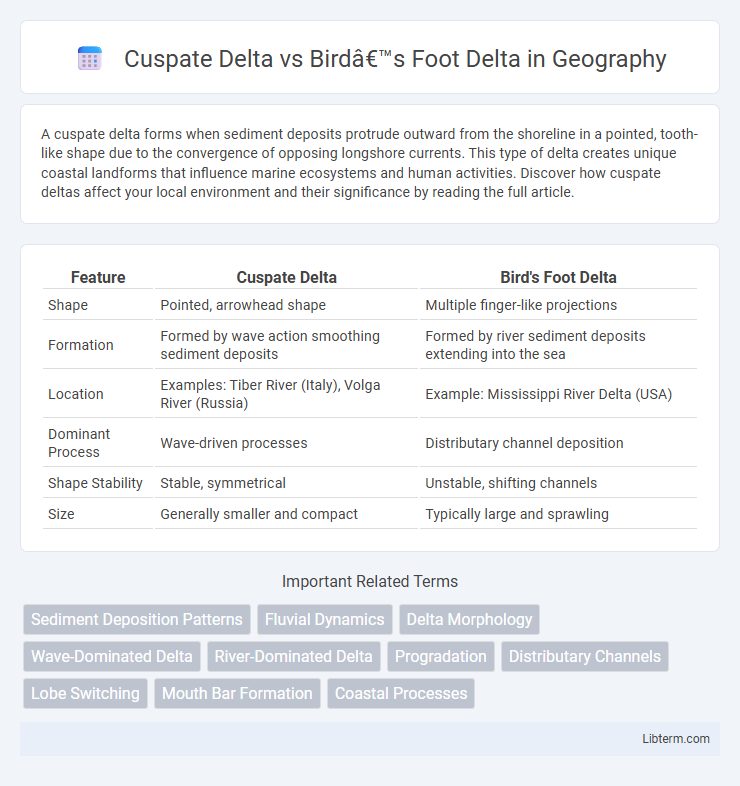 Bird’s Foot Delta vs Cuspate Delta in Geography - What is The Difference?