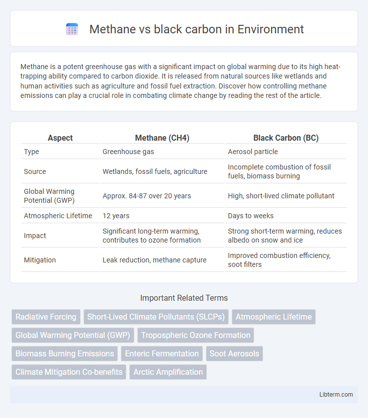 black carbon vs Methane in Environment - What is The Difference?