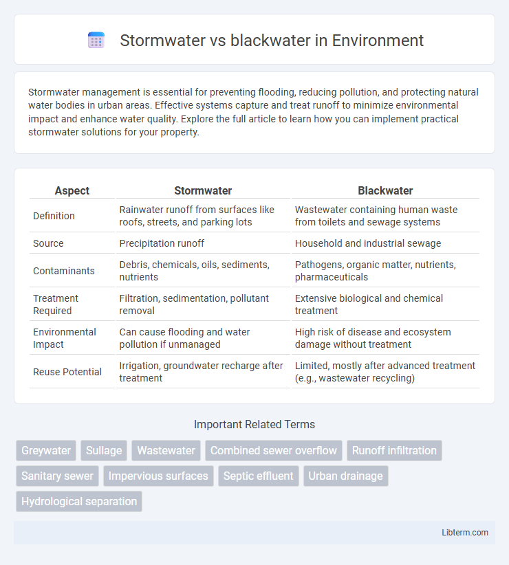 blackwater vs Stormwater in Environment - What is The Difference?
