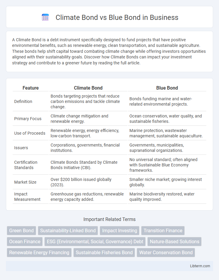 Blue Bond vs Climate Bond in Business - What is The Difference?