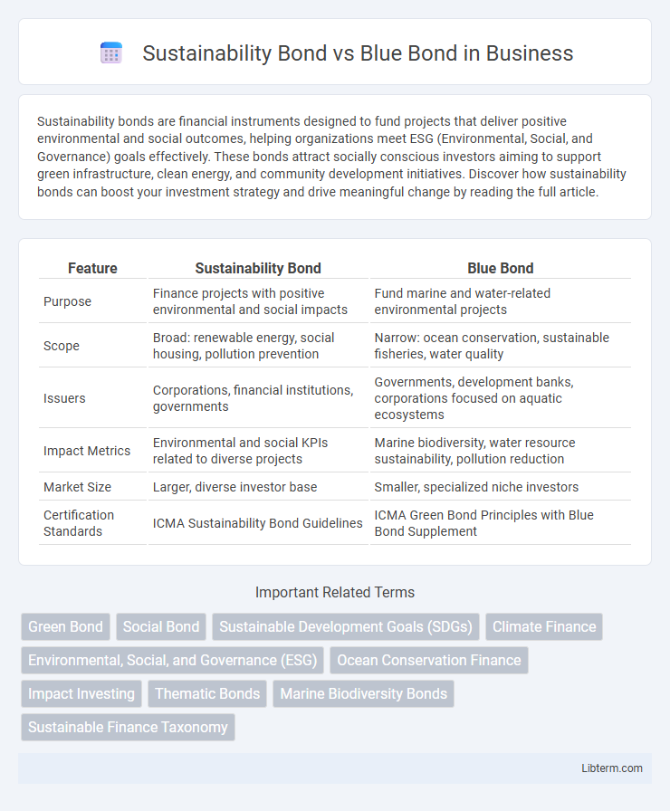 Blue Bond vs Sustainability Bond in Business - What is The Difference?