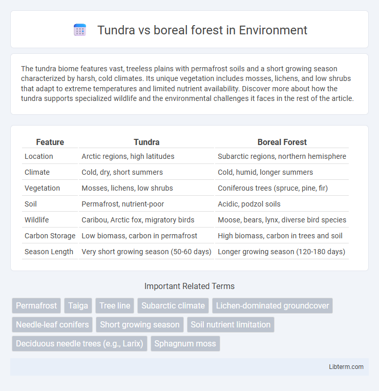 boreal forest vs Tundra in Environment - What is The Difference?
