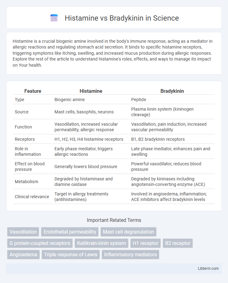 Bradykinin vs Histamine in Science - What is The Difference?