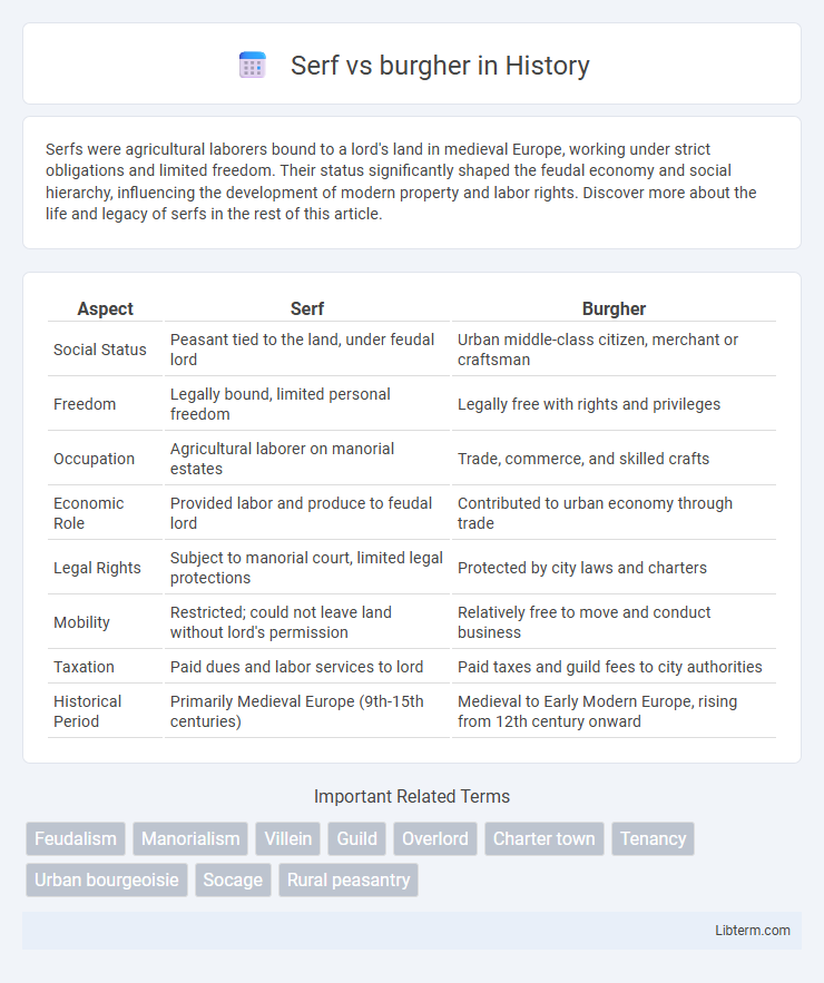 burgher vs Serf in History - What is The Difference?