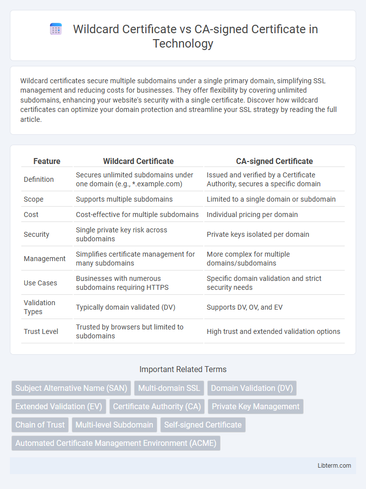 CA-signed Certificate vs Wildcard Certificate in Technology - What is The Difference?