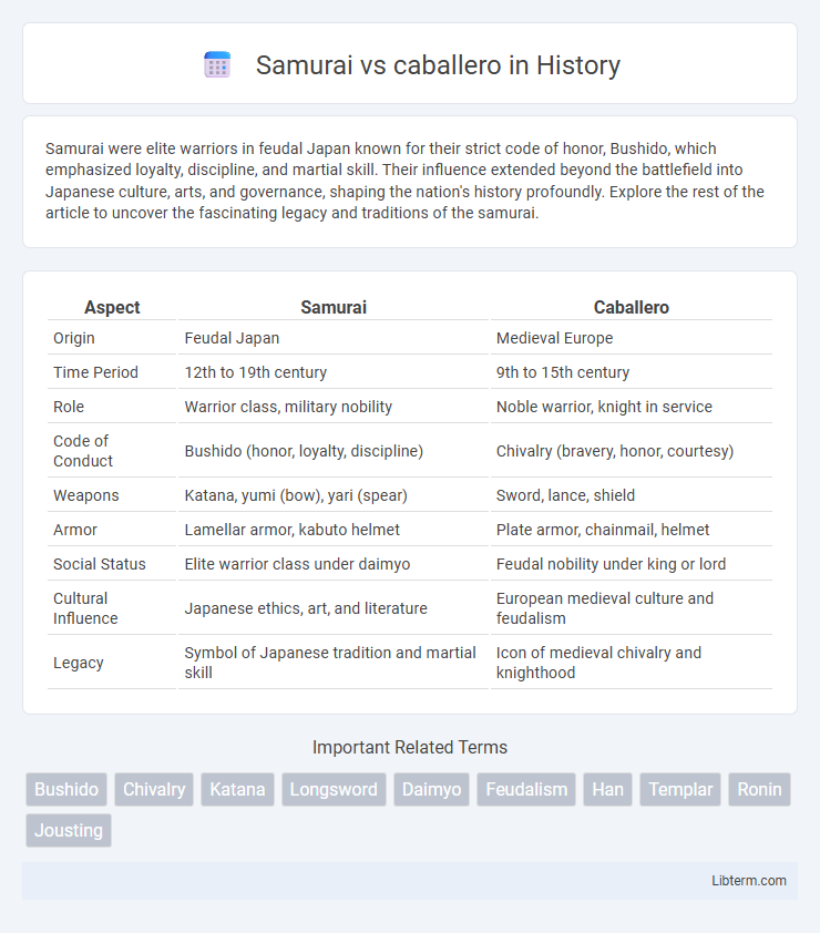 caballero vs Samurai in History - What is The Difference?