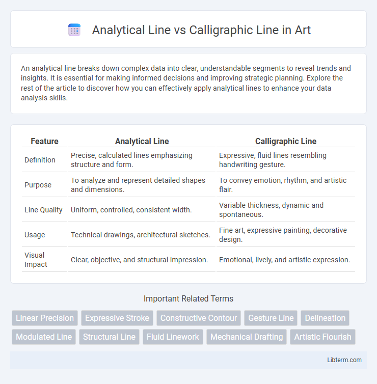 Calligraphic Line vs Analytical Line in Art - What is The Difference?