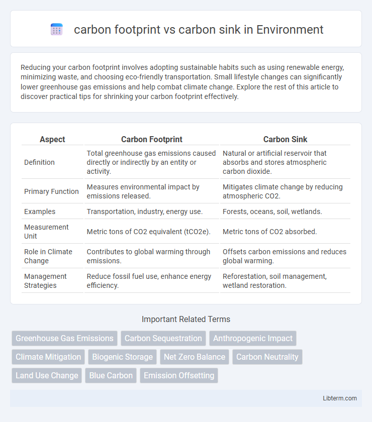 carbon sink vs carbon footprint in Environment - What is The Difference?