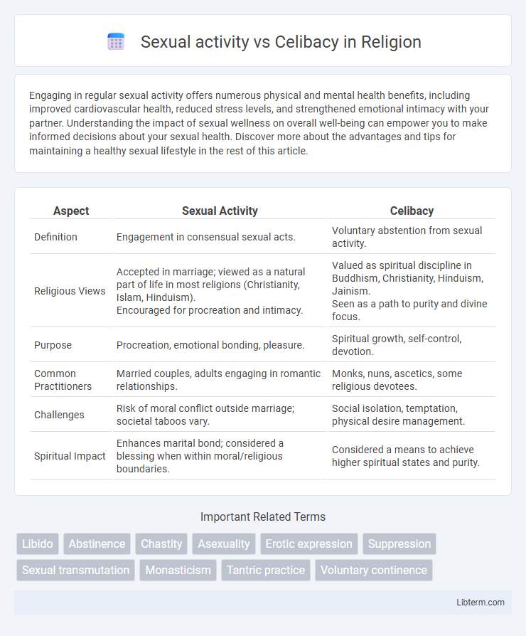 Celibacy vs Sexual activity in Religion - What is The Difference?
