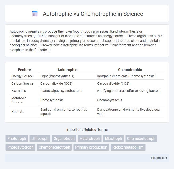 Chemotrophic vs Autotrophic in Science - What is The Difference?