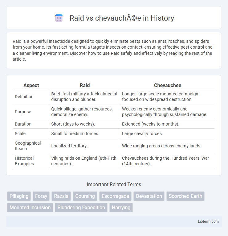 chevauchée vs Raid in History - What is The Difference?