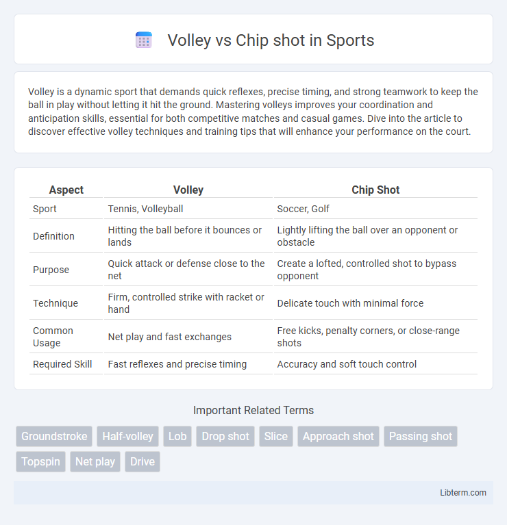 Chip shot vs Volley in Sports - What is The Difference?