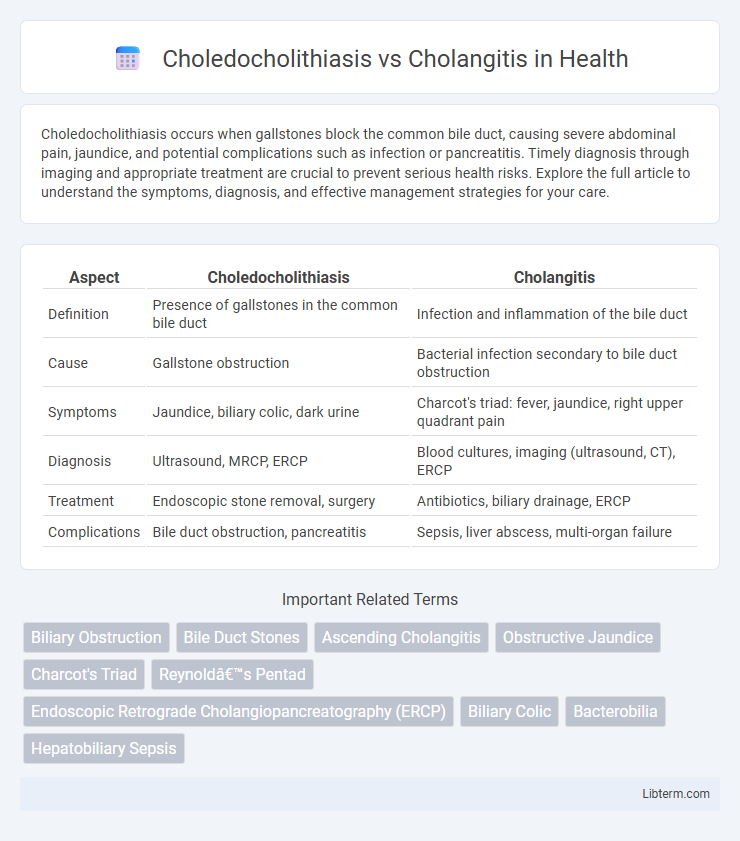 Cholangitis vs Choledocholithiasis in Health - What is The Difference?