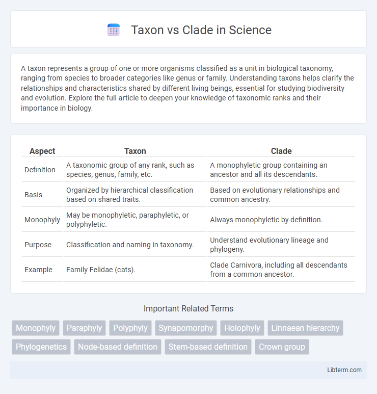 Clade vs Taxon in Science - What is The Difference?
