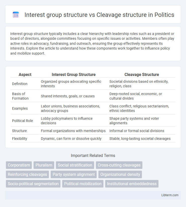 Cleavage structure vs Interest group structure in Politics - What is The Difference?