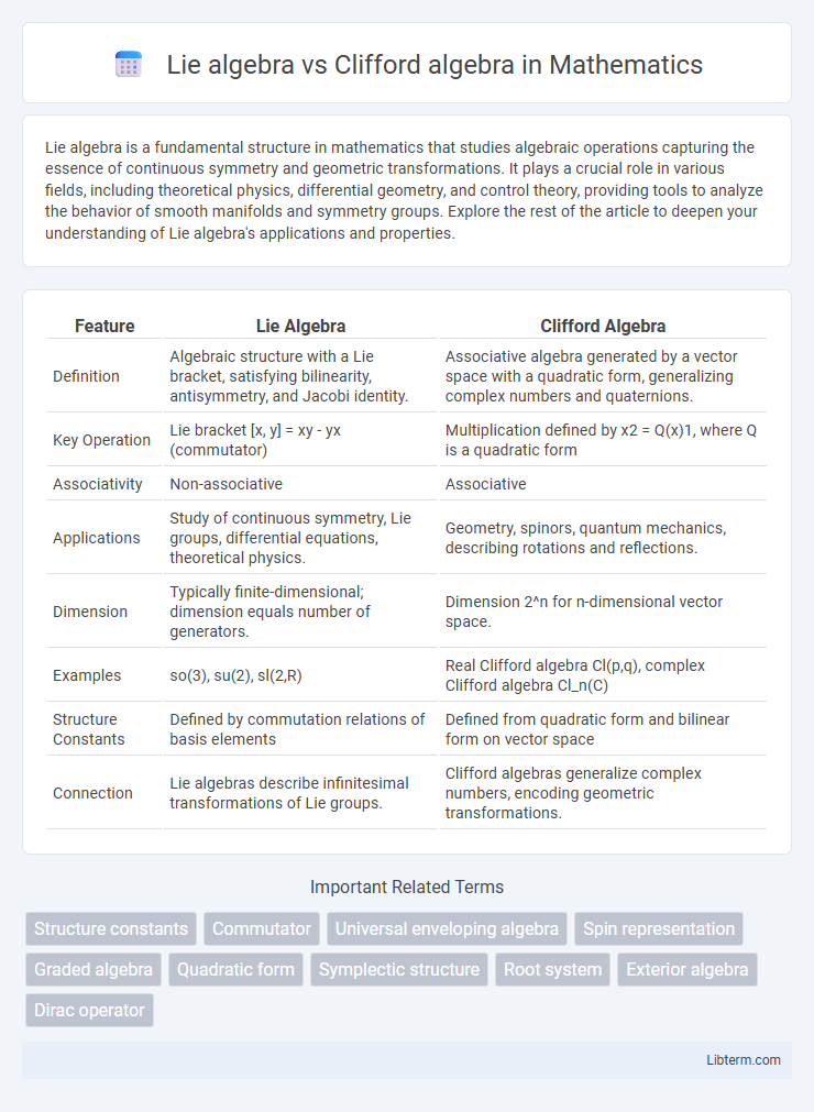 Clifford algebra vs Lie algebra in Mathematics - What is The Difference?